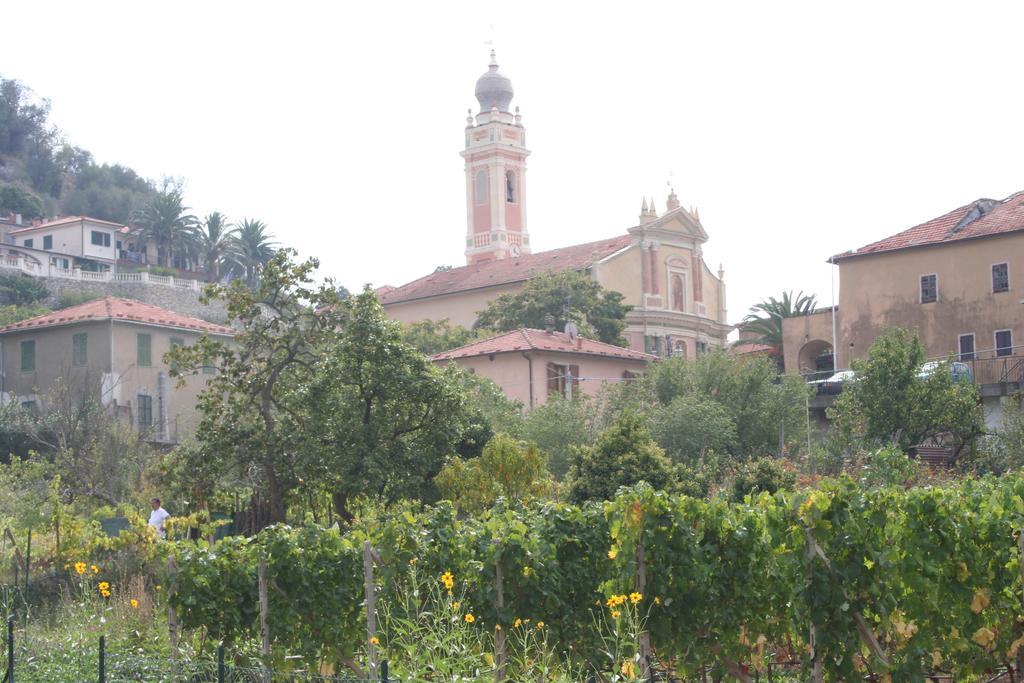 La Vigna Agroturismo