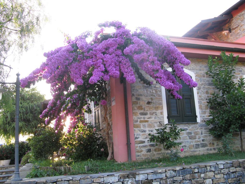 La Vigna