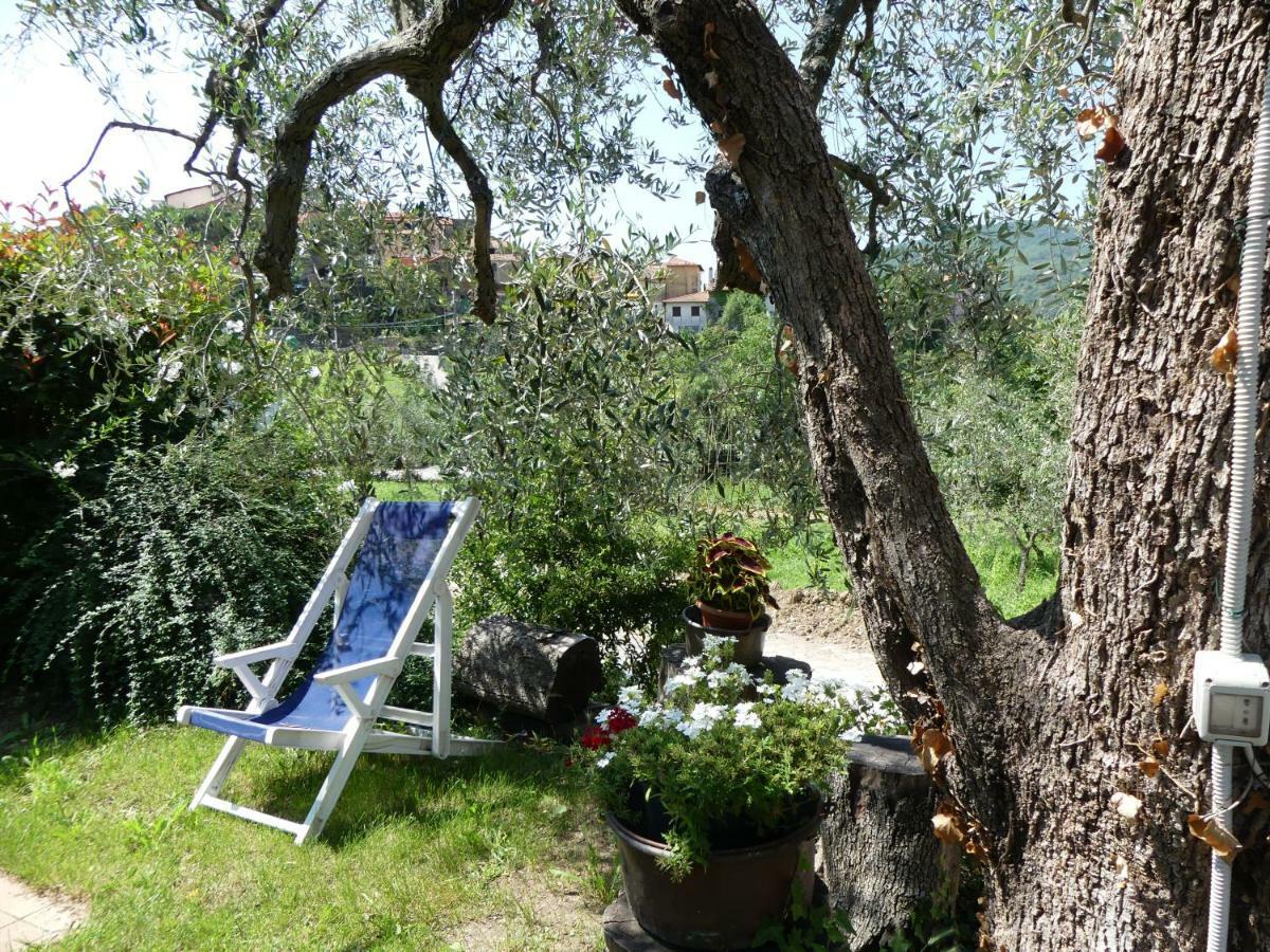 La Vigna *